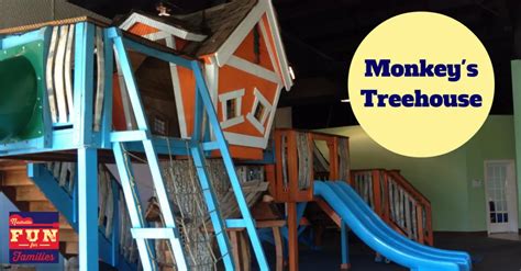 Monkeys treehouse - Jul 15, 2017 · 10. 7. The Monkey’s Treehouse. 91 Seaboard Ln #103, Brentwood, TN 37027. The Monkey’s Treehouse is the ultimate indoor playground for children up to 8-years-old. Kids can explore, climb, and slide on an amazing multi-roomed treehouse. They can use their imaginations as they play in the town village, home living area, reading lounge, and art ... 